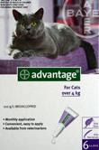 Advantage Flea Control Purple Box For Cats Over 4kg 6 Pack 