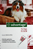 Advantage Flea Control Red Box For Dogs 10 to 25kg 6 Pack 