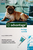 Advantage Flea Control Teal Box For Dogs 4 to 10kg 6 Pack 