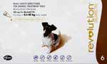 Revolution Flea and Heartworm Control Brown Box For Dogs 5.1 to 10kg 6 Pack 