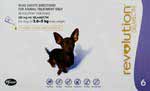 Revolution Flea and Heartworm Control Purple Box For Dogs 2.6 to 5kg 6 Pack 
