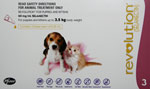 Revolution Flea and Heartworm Control Pink Box For Puppies and Kittens Up to 2.5 kg 3 Pack 