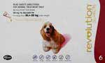 Revolution Flea and Heartworm Control Red Box For Dogs 10.1 to 20kg 6 Pack 