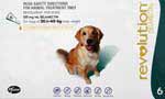 Revolution Flea and Heartworm Control Teal Box For Dogs 20.1 to 40kg 6 Pack 
